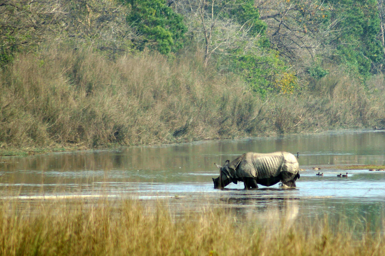 Nepal: 9-Day Luxury Tour with Private Transportation