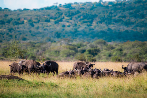 Kigali: Escursione di lusso di un giorno al Parco Nazionale di Akagera con giro in barca