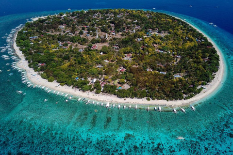 Bohol Dolphin Watching & Sea Turtle Swim Island Hopping Tour Pier – Meet-up Point