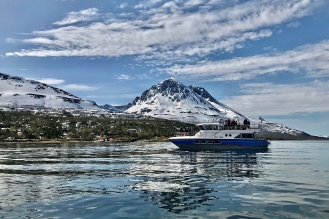 Tromsø: Wildlife Bird Fjord Cruise with Lunch and Drinks