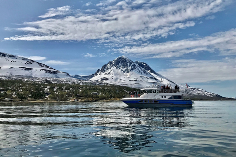 Tromsø : Croisière dans le fjord pour observer la faune et la flore, avec déjeuner et boissonsTromsø : fjord, oiseaux sauvages, déjeuner, boissons