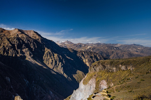 Colca Canyon Day Trip + Transfer to Puno with Meals