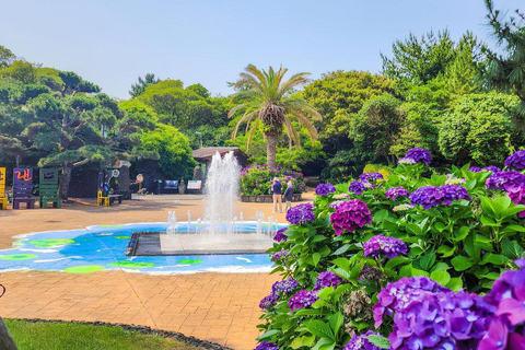 Jeju Island: East Jeju Summer Hydrangea Tour
