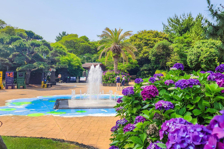 Jeju Island: East Jeju Summer Hydrangea Tour