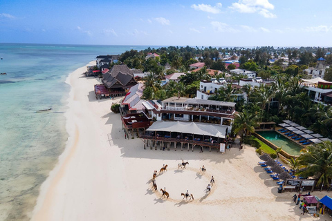 Zanzibar: Paardrijden en schildpadzwemmen