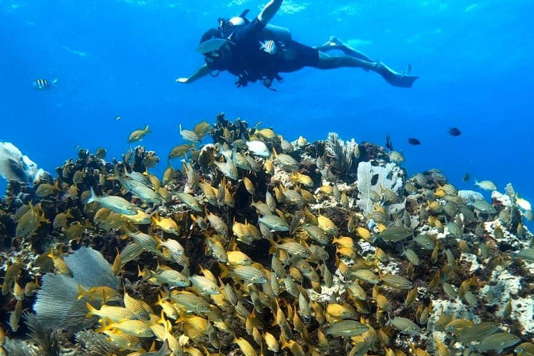 Cancun : Cours PADI Nitrox à l&#039;air enrichiCancun : Cours de plongée Nitrox