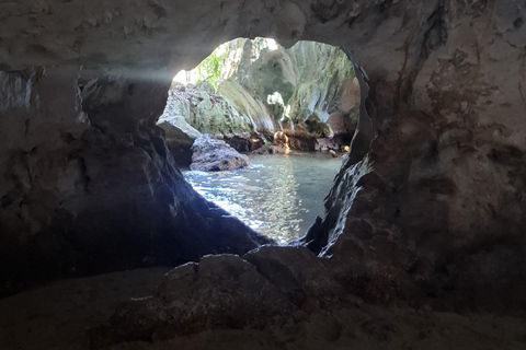 From Punta Cana: Los Haitises Tour: Mangroves, Caves + Round Mountain