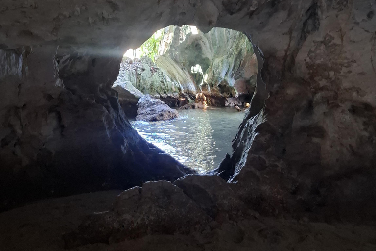 From Punta Cana: Los Haitises Tour: Mangroves, Caves + Round Mountain