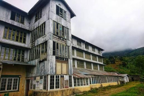 Colombo to Kandy Tea Factory and Temple Private Tour By Car