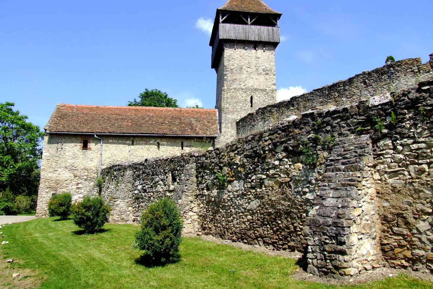 Timisoara Avventure: Visita al Castello di Hunedoara e Sibiu