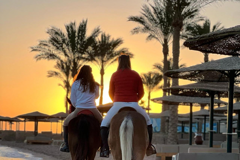 الغردقة: جولة ركوب الخيل في الصحراء والبحر مع خيار السباحةجولة لمدة ساعتين لركوب الخيل بدون السباح