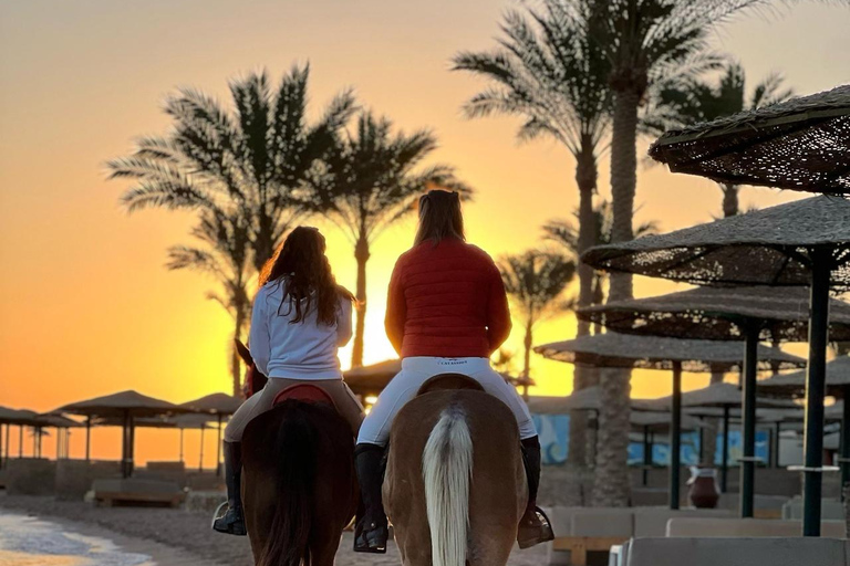 الغردقة: جولة ركوب الخيل في الصحراء والبحر مع خيار السباحةجولة لمدة ساعتين لركوب الخيل بدون السباح