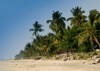Heritage & Cultural Walk of Alleppey - Guided Walking Tour - Housity