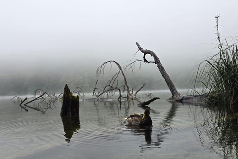 From Zadar: Plitvice Lakes Guided Tour with Boat & Train