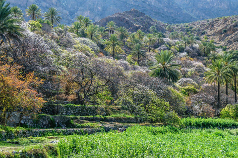 Dia inteiro em Wadi Abyadh - Aldeia de Wekan - Forte de Nakhal - primavera Quente