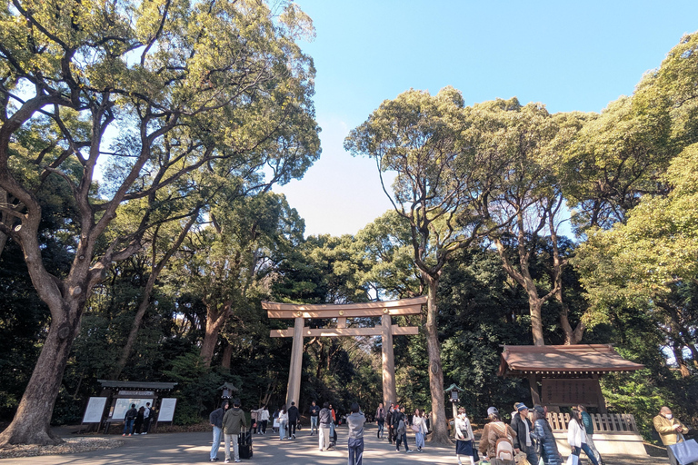 This is Real TOKYO!! SHIBUYA Tour from TGP!!