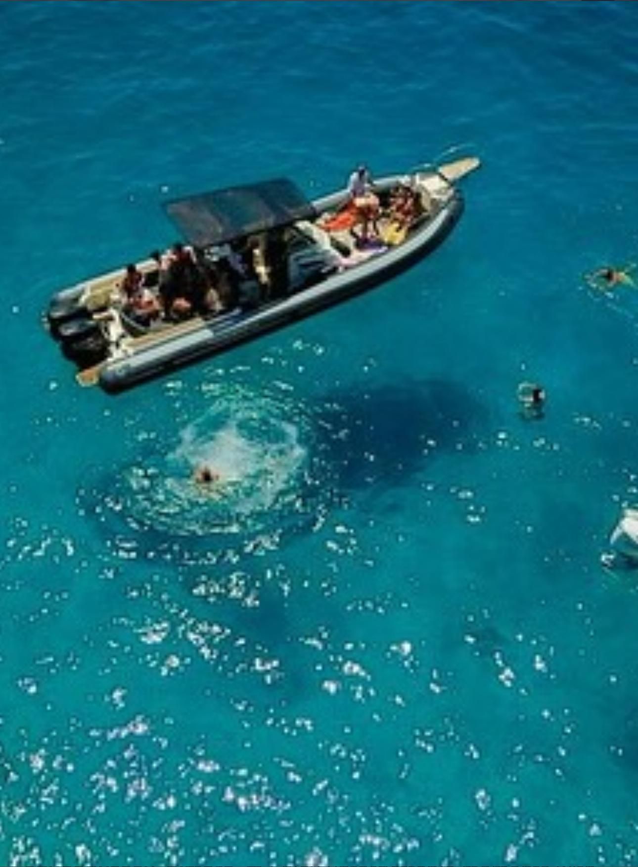 Party-Kreuzfahrt von Himara zur Piratenhöhle