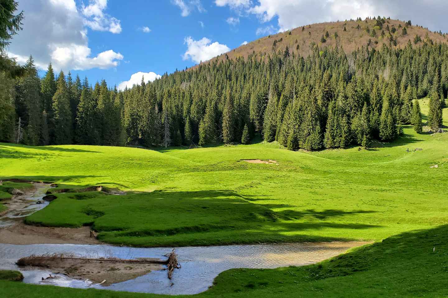 From Oradea: Apuseni Mountains Guided Hiking Tour