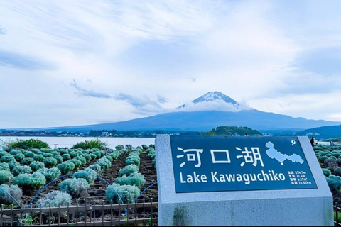 Mt Fuji Sightseeing Private tour with English Speaking Guide