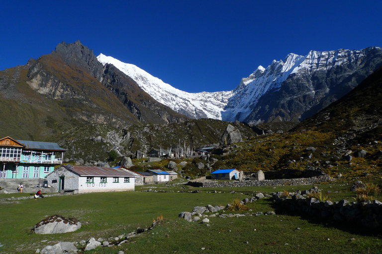 From Kathmandu: Langtang Valley Trek with Transfers
