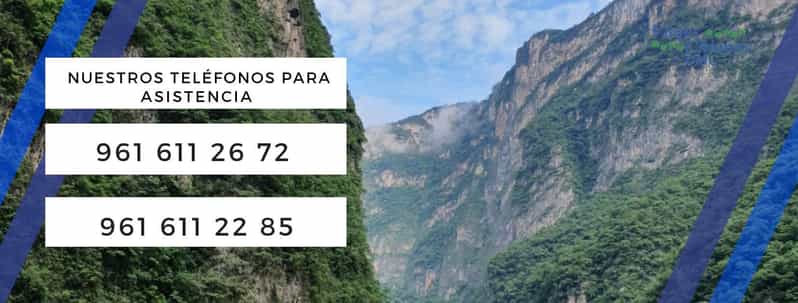 Galería de fotos para redes