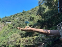 Van Guangzhou, Gulong Canyon Private Day Tour - Housity