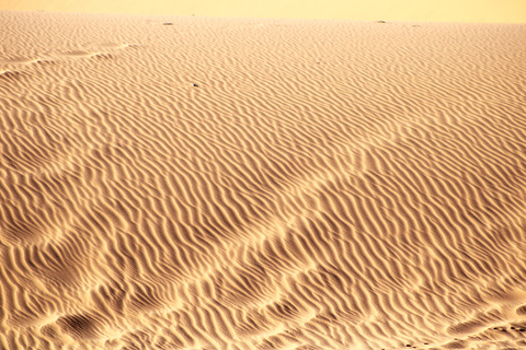 10 Days Taste of Namibia | Auto Tour Camping