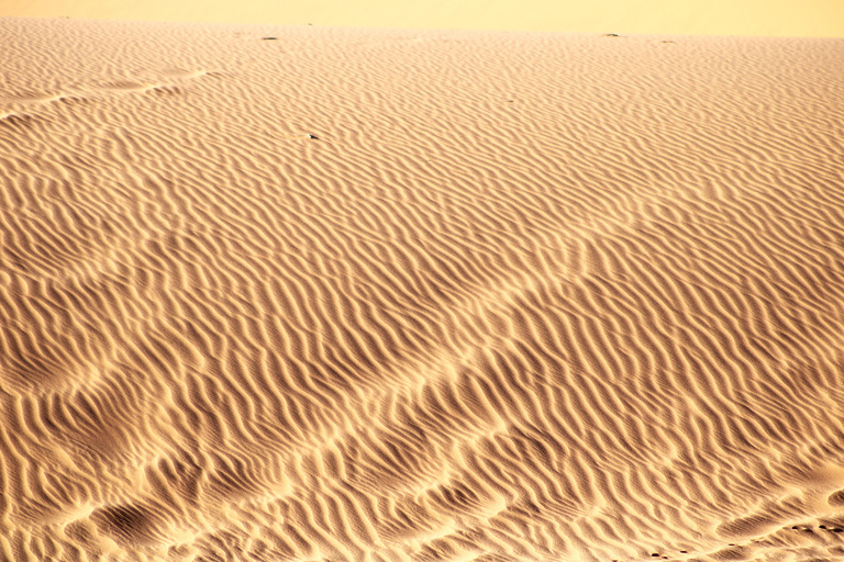 10 Days Taste of Namibia | Auto Tour Camping