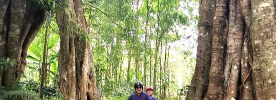 Bali : Excursion en quad avec cascade et sentiers forestiers