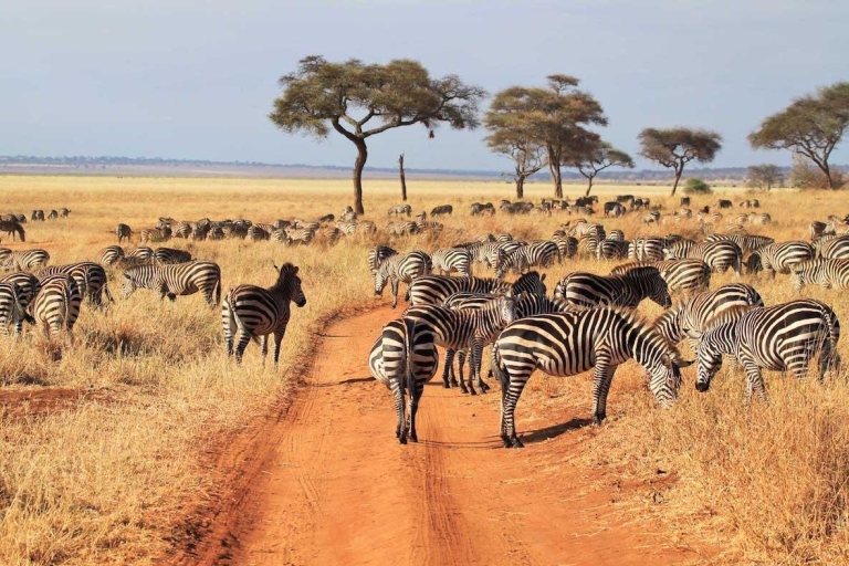 4 Tage Amboseli, Tsavo West und Tsavo Ost Safari