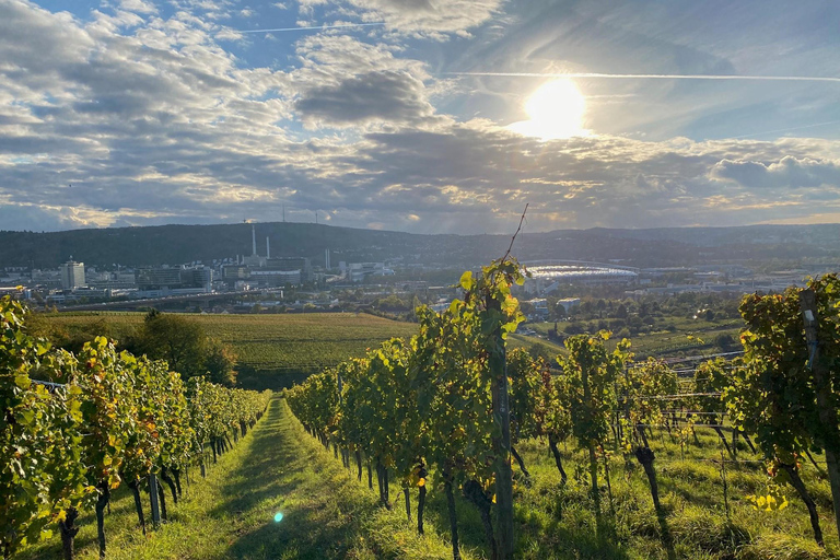 Stuttgart: From the Cellar to the Vine – Experience Wine Up Close Stuttgart: From the cellar to the vine – experience wine up close
