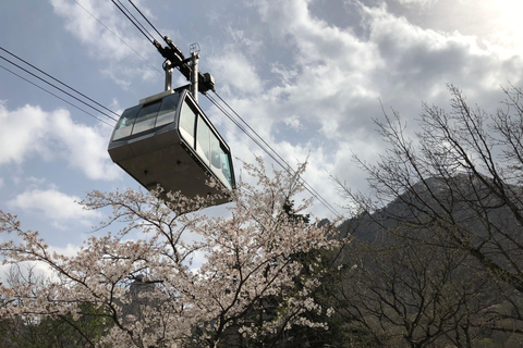 Seoul: Mt.Seorak and Cherry Blossom Lake 1 day trip Departing from Hongik Univ.St.Exit 8