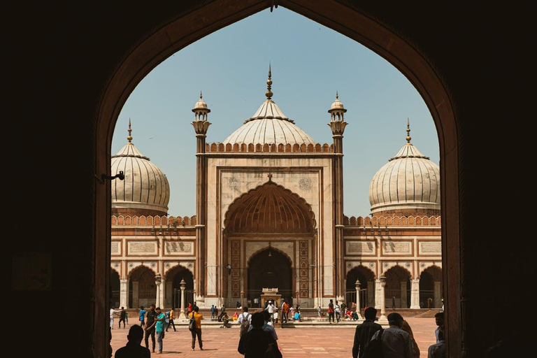 Delhi : Visite privée des temples de Delhi avec promenade en pousse-pousseDelhi : Visite privée des temples et sites spirituels de Delhi