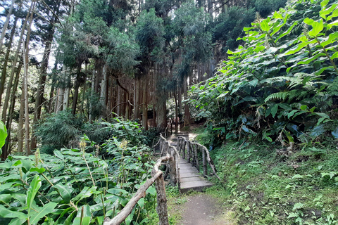 São Miguel: Moinho do Felix-Wanderung mit Besuch der Teefabrik