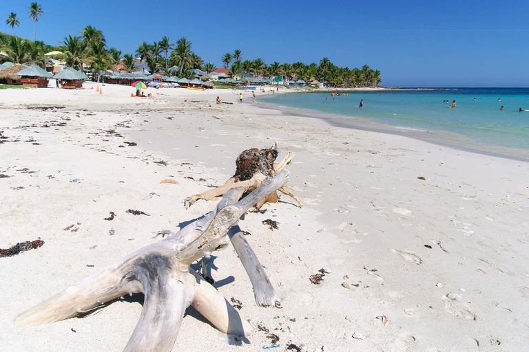 Excursion privée à l'île Catalina depuis Punta Cana : snorkeling et plageExcursion privée à l'île Catalina : snorkeling et plage depuis Punta Cana