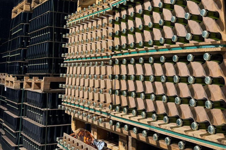 From Barcelona: Private Sitges + Tarragona + Luxury Winery