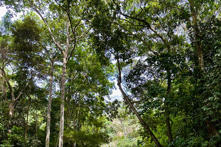 Santa Marta: Horseback Riding to the Valencia Waterfalls in Tayrona National Park