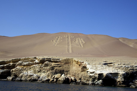 FD: Ica, Paracas - Ballestas Islands - Huacachina Excursion