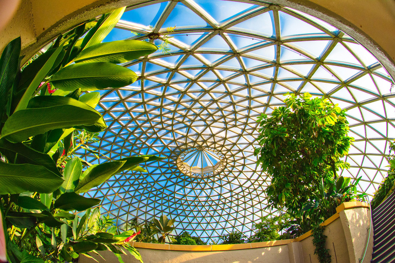 Brisbane: City Highlights and Mount Coot-tha Tour