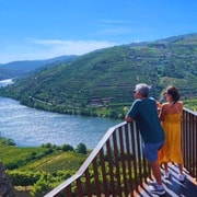 Tour Privado en 4x4 por el Valle del Duero con Cata de Vinos y Picnic