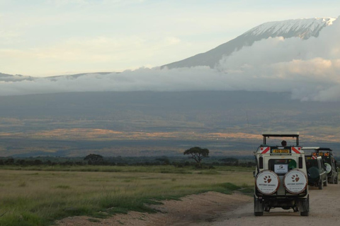 Circuit de luxe de 5 jours à Amboseli, au lac Naivasha et au Masai Mara