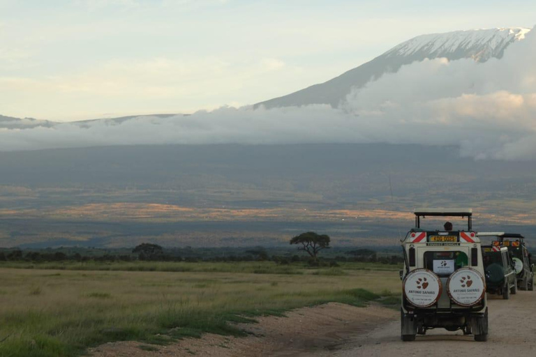 Viaje de lujo de 5 días a Amboseli, Lago Naivasha y Masai Mara