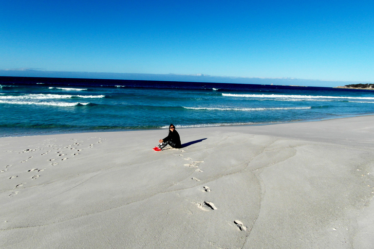 Launceston: Bay of Fires Tour with Bridestowe Lavender Farm