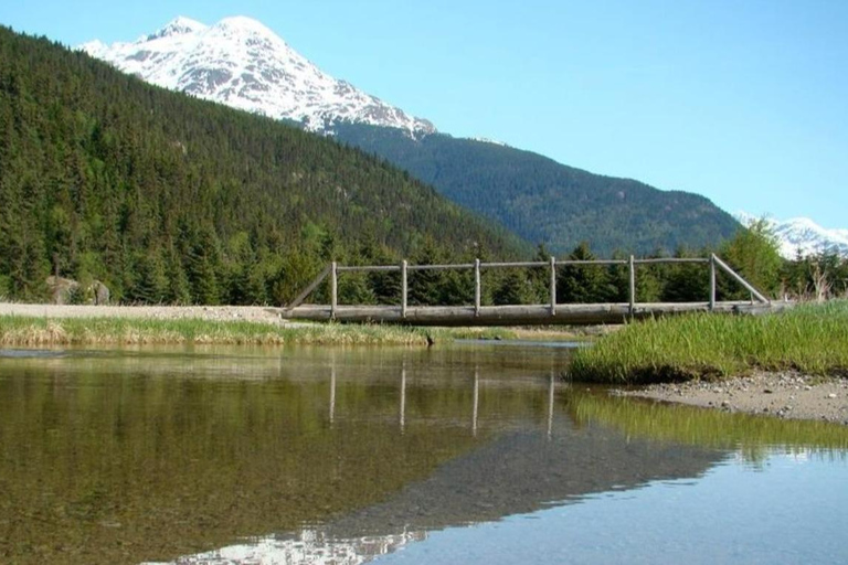 Skagway, Alaska: Musher's Camp® Dog Sled Adventure Skagway: Musher's Camp Dog Sled Adventure