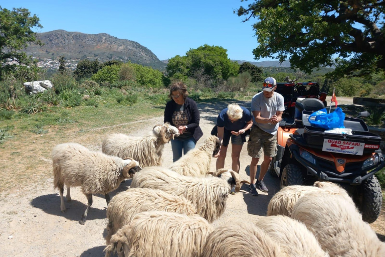 Crete buggy safari