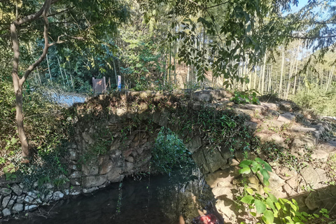 Shanghai: Tribute Tea Path Family Hike & Cooking Day