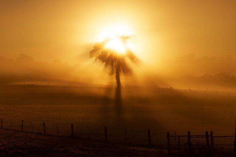 Adelaide Hills : Visite photographique avec café