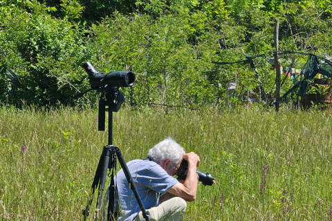 Birdwatching in Albania - Explore Shkodra Lake & Velipoja Birdwatching in Albania - Shkodra Lake & Velipoja Lagoon
