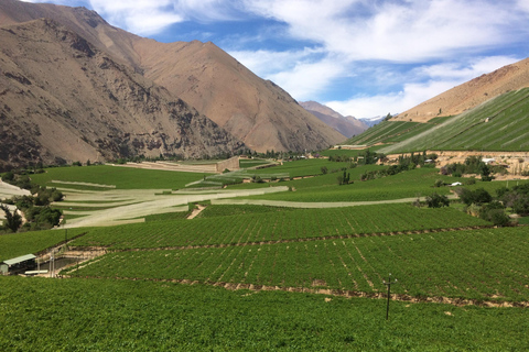 Horseback riding in the Cochiguaz River Sanctuary in the Elqui Valley.