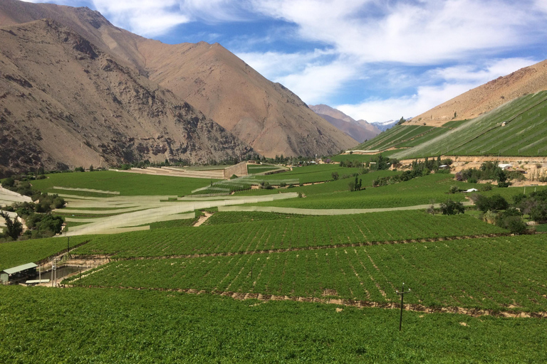 Horseback riding in the Cochiguaz River Sanctuary in the Elqui Valley.